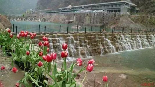 图解两会 | 速览！六届重庆市政协常委会工作报告和提案工作情况的报告发布