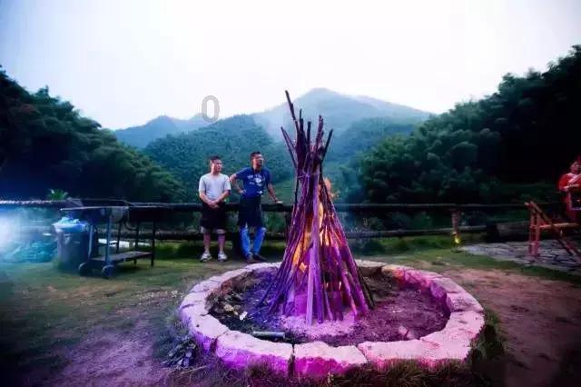 QQ企鹅