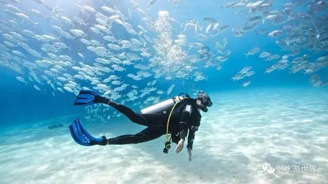 失忆的流浪者